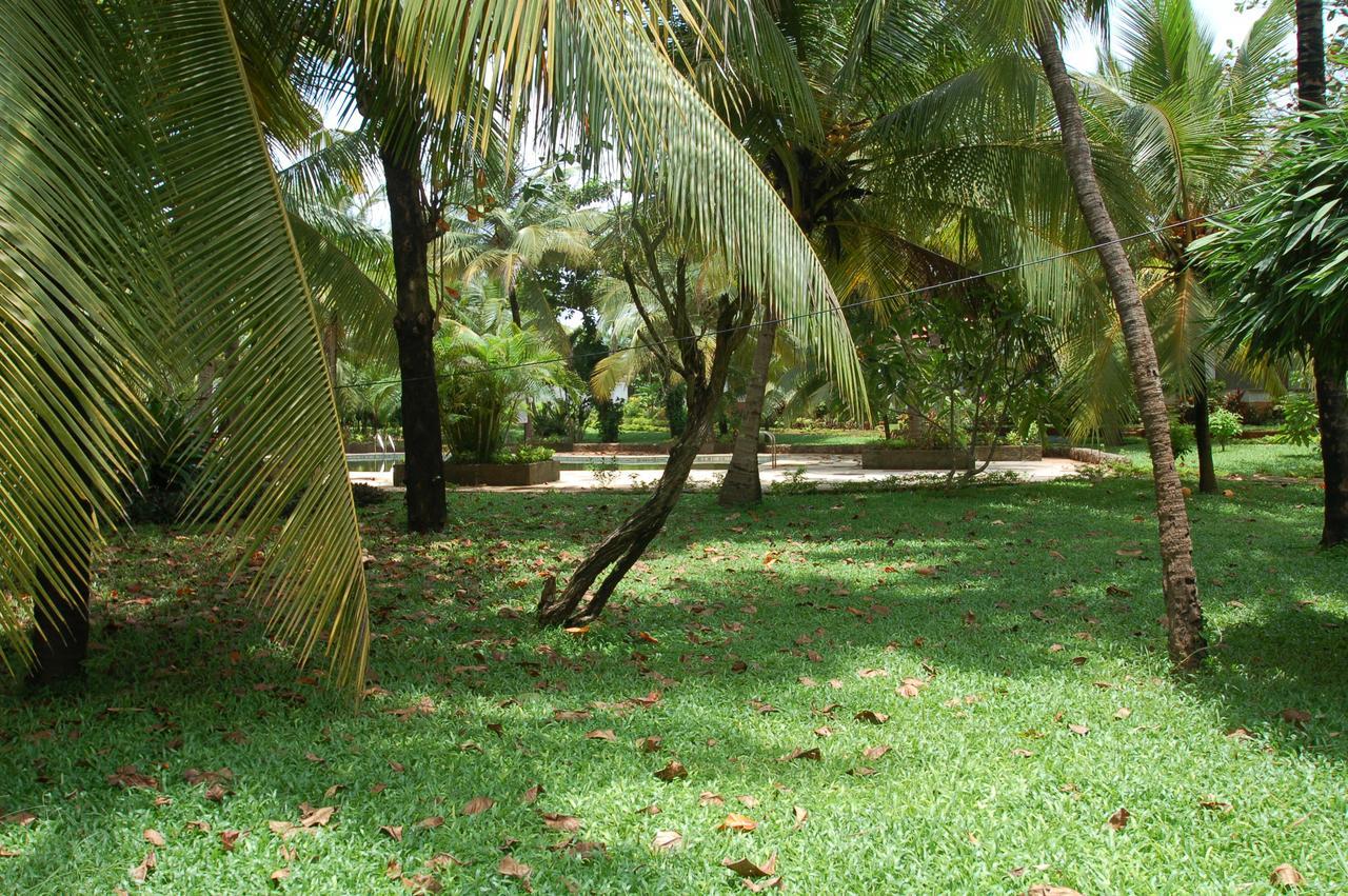 Villa Mayfair *